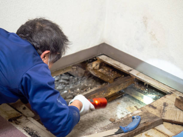 Best Crawl Space Mold Removal  in Succasunna, NJ