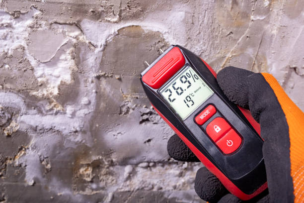 Best Certified Mold Removal  in Succasunna, NJ